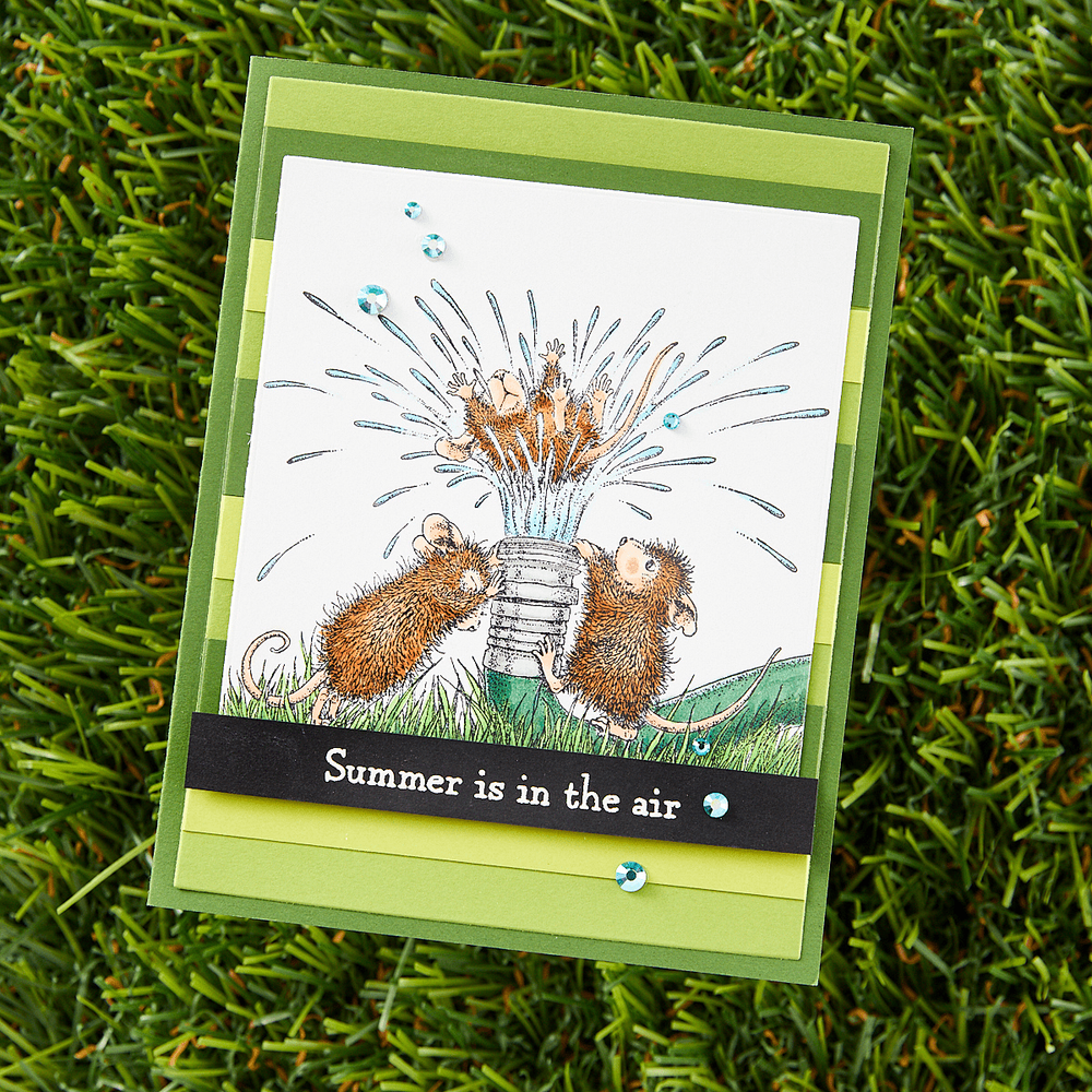House-Mouse Summer Fun Collector Bundle