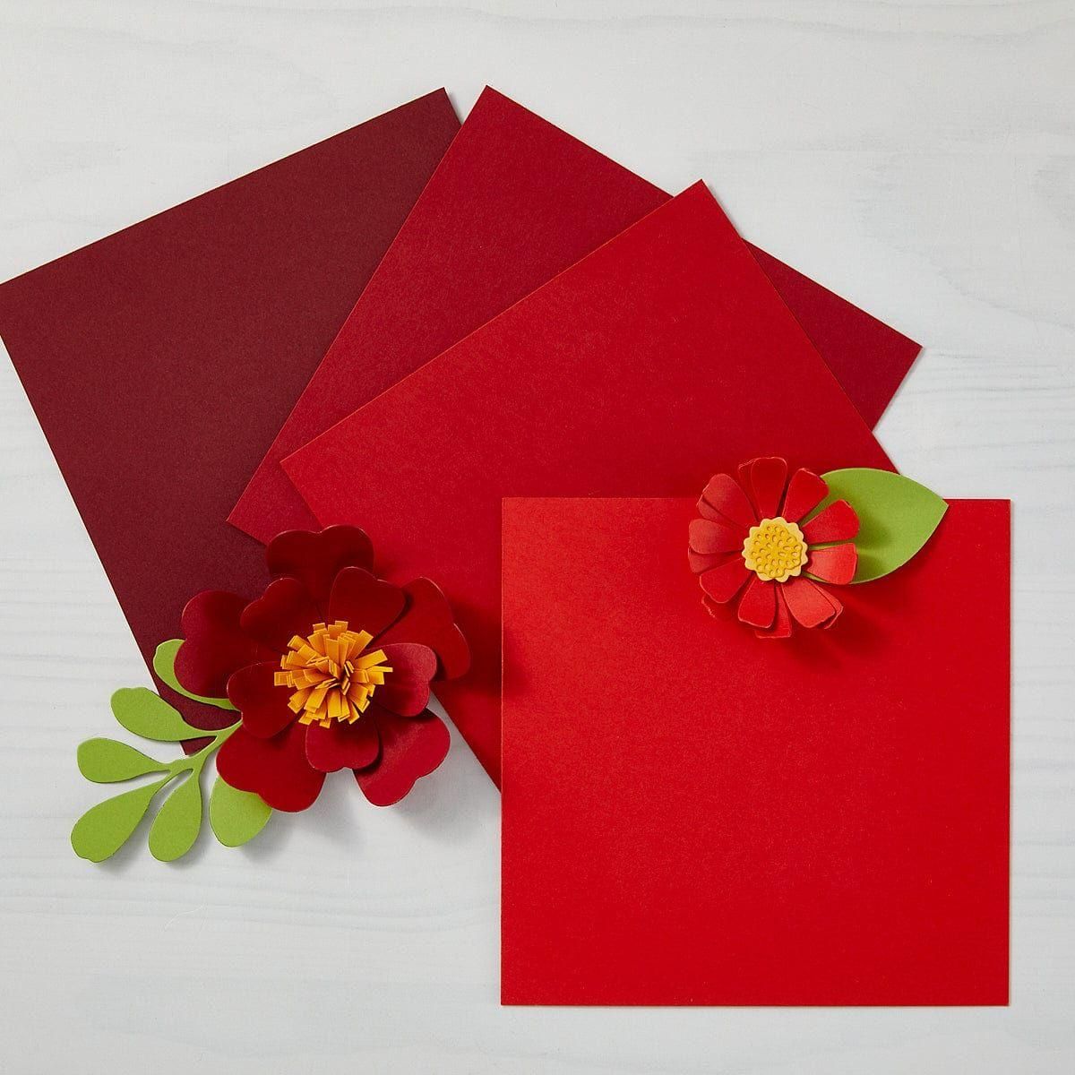 Cranberry ColorWheel Cardstock 8.5