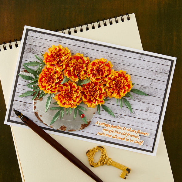 The Cottage Garden Die Bundle by Susan Tierney-Cockburn
