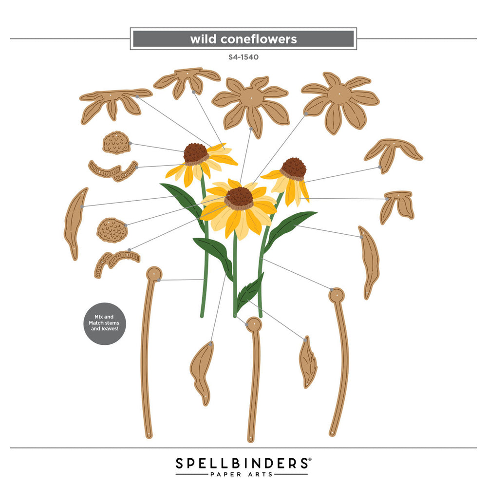 Wild Coneflowers Etched Dies by Simon Hurley
