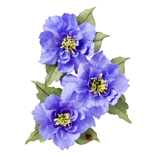 Clematis Poet Etched Dies by Susan Tierney-Cockburn