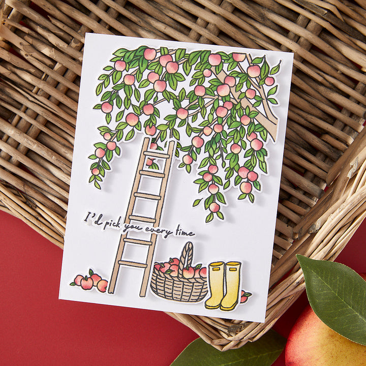 In The Orchard Stamp & Cut Set