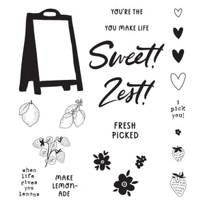 Pink Lemonade Stamp & Die Bundle with Simple Stories