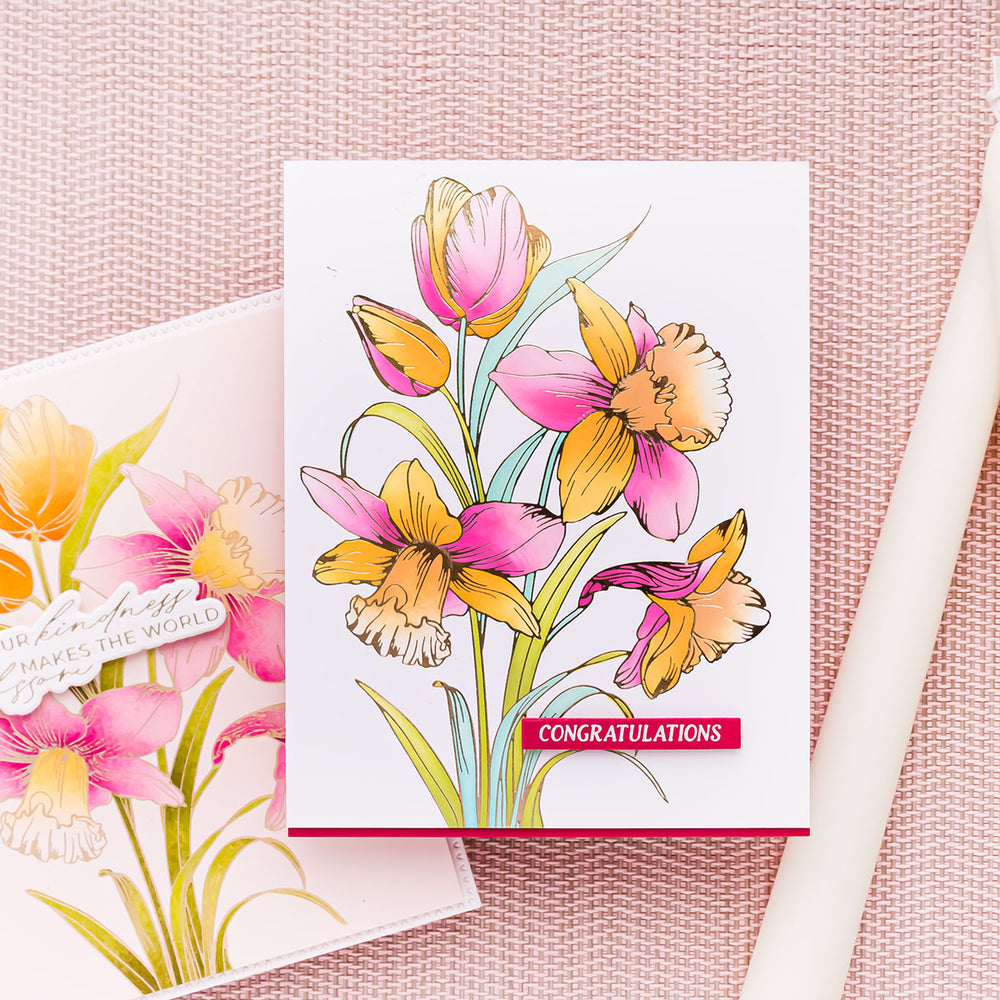 Yana's Tulips I Want It All! Bundle by Yana Smakula