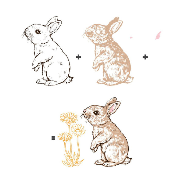 Color Layering Bunny Clear Stamp Set