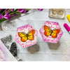 Beautiful Butterflies Clear Stamp Set