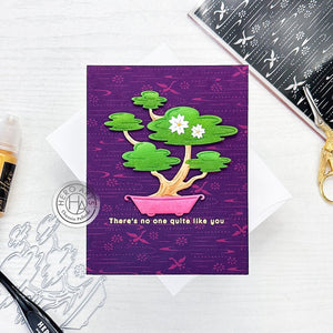 Bonsai Fancy Dies