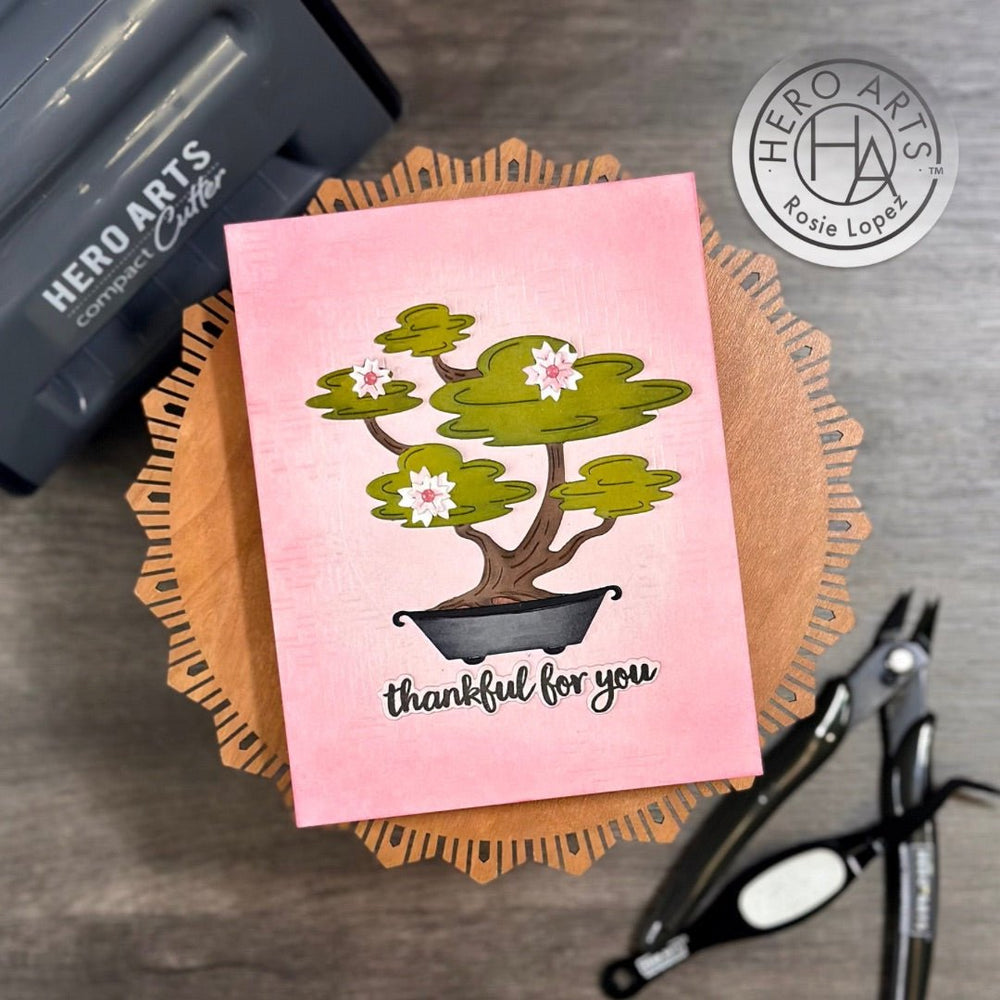 Bonsai Fancy Dies