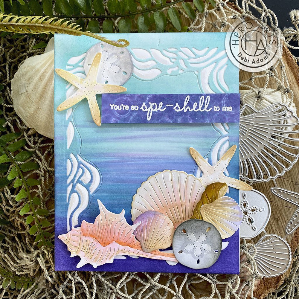 DI899 Seashells Fancy Dies (D) - Hero Arts