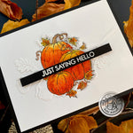 H6482 Pumpkin Bunch - Hero Arts