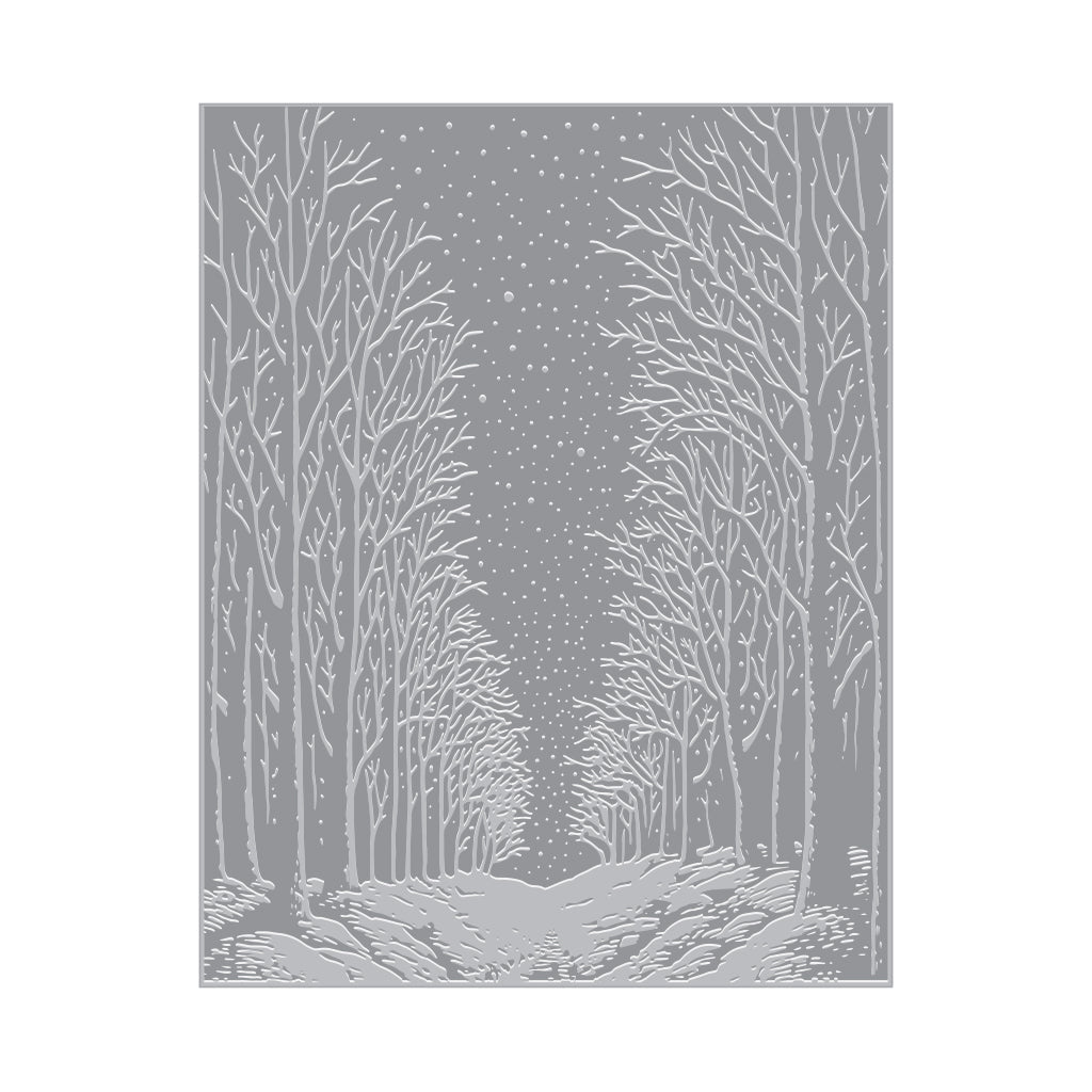 HP101 Snowy Night Letterpress + Foil Plate - Hero Arts