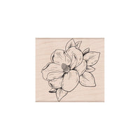 K6270 Flowering Magnolia - Hero Arts