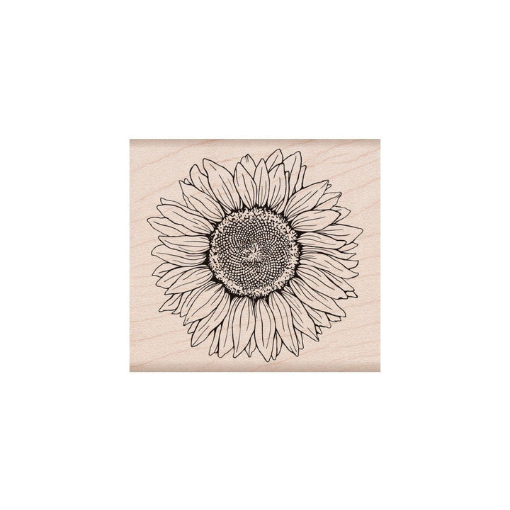 K6288 Hero Florals Sunflower - Hero Arts