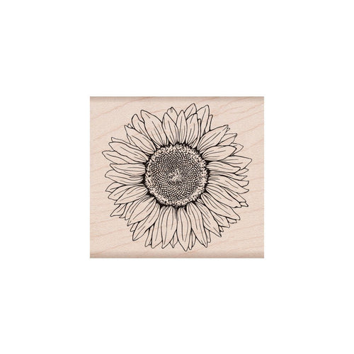 K6288 Hero Florals Sunflower - Hero Arts