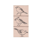 LP169 Bird Trio - Hero Arts