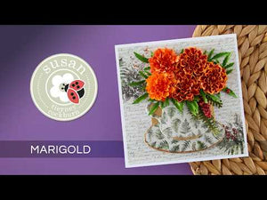 The Cottage Garden Die Bundle by Susan Tierney-Cockburn