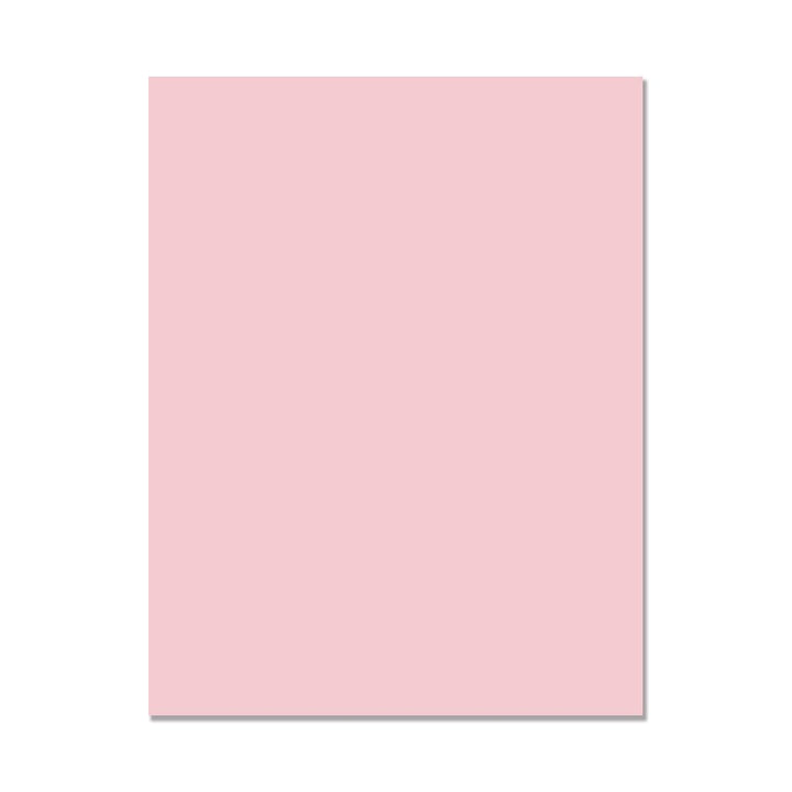 PS300 Hero Hues Premium Cardstock Peony - Hero Arts