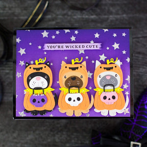 rebeccakeppel-202508-pupkin-square-710x710.jpg