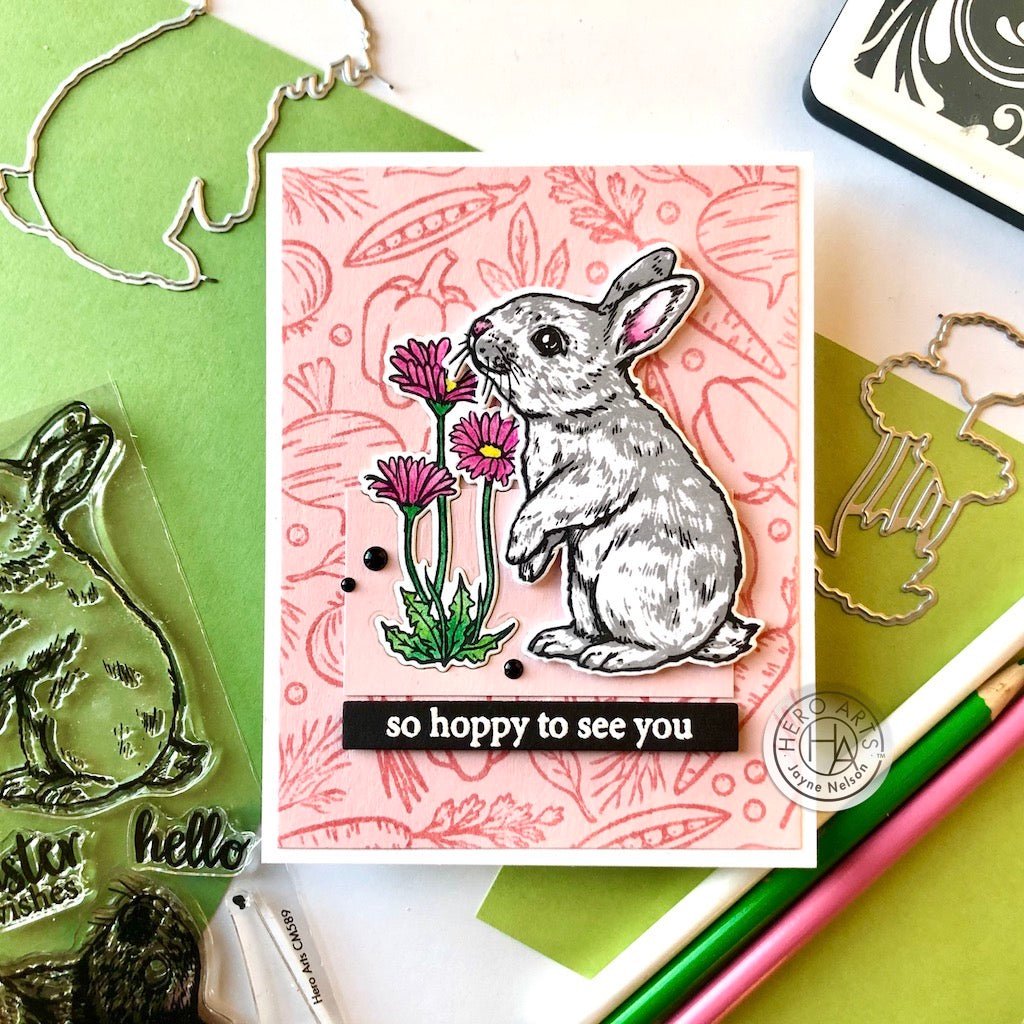 SB295 Color Layering Bunny Bundle - Hero Arts