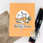 SB388 Spring Bunny Bundle (D) - Hero Arts