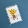 Clearbags - Crystal Clear Boxes® (5 3/8