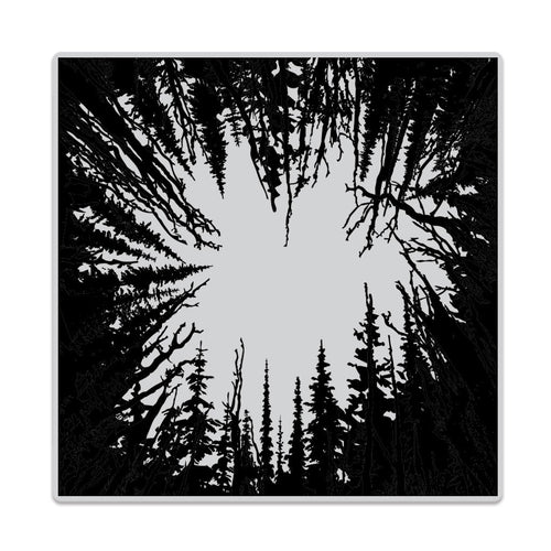 CG787 Cathedral of Trees Bold Prints