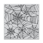 CG822 Spider Web Bold Prints