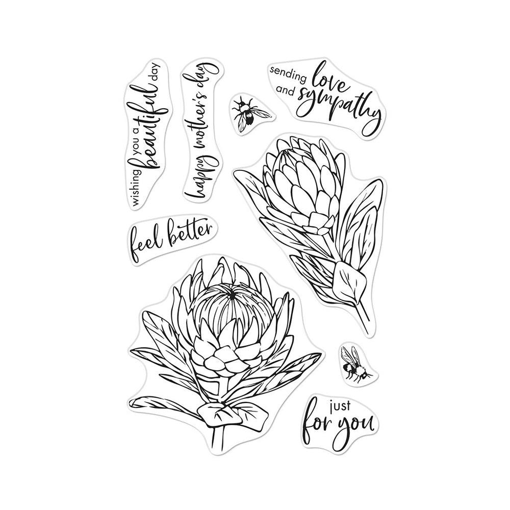 Hero Arts 4x6 Clear Stamps: Floral Journaling (HACM698)