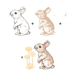 CM589 Color Layering Bunny