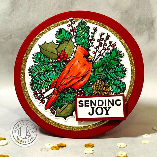 SB330 Holiday Cardinal Bundle