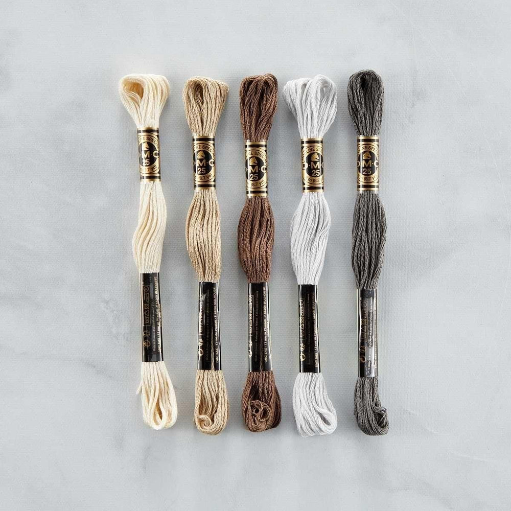 DMC Color Essentials Floss Bundle Neutrals 5 Pack (SCS-256) whiteclipped product. 