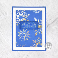 HF125 Three Holiday Messages Hot Foil Plate (B)
