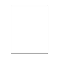 PS782 Deluxe Smooth White Cardstock 25/pk