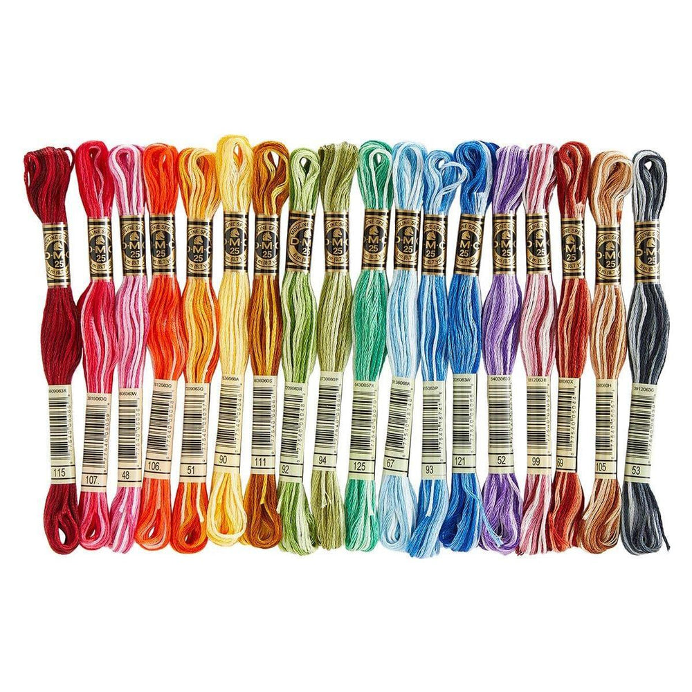 DMC Variegated Floss Bundle